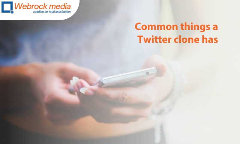 Common things a Twitter clone has