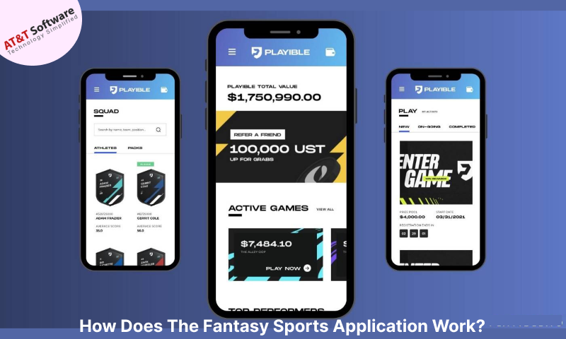 The Fantasy Sports Application Work The Fantasy Sports Application Work