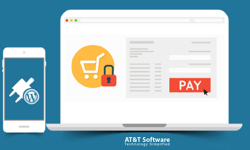 Paid Plugin Paid Plugin