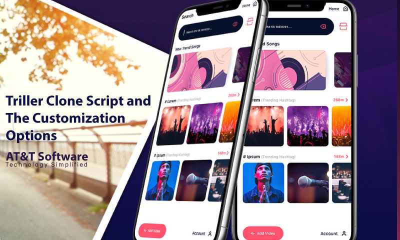 Triller Clone Script and The Customization Options