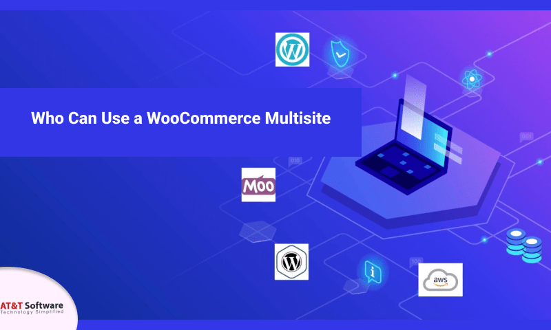 Who Can Use a WordPress Multisite Who Can Use a WordPress Multisite